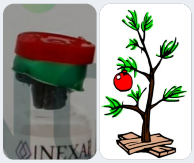 1000010764.png