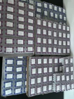IMG_5323.webp