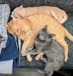 1000009907.jpg 1000009907.jpg