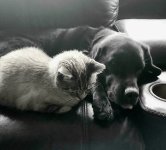 20250720_152943_04.jpg 20250720_152943_04.jpg