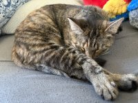 1764754086319.jpeg 1764754086319.jpeg