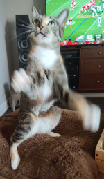 1000004463.png 1000004463.png