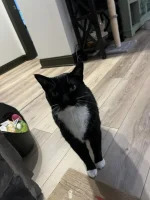 IMG_5094_20250709_195321.webp