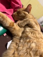 IMG_1281.jpeg IMG_1281.jpeg