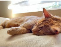 IMG_1280.jpeg IMG_1280.jpeg