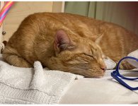 IMG_1279.jpeg IMG_1279.jpeg