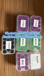 IMG_0474_副本11.jpg IMG_0474_副本11.jpg