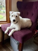 IMG_1815.jpeg IMG_1815.jpeg