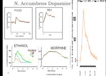 Screenshot 2025-12-10 at 6.29.06 PM.png