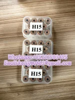 IMG_0513.webp IMG_0513.webp