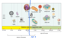 1765632426476.png 1765632426476.png