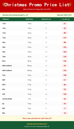 Christmas Promo 2nd.png