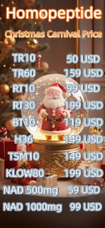 圣诞4.jpg 圣诞4.jpg