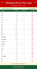 Christmas Promo 3rd.png