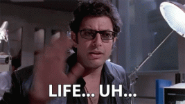 1766081708243.gif 1766081708243.gif