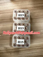 IMG_0667.webp IMG_0667.webp