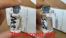未标题-2.webp