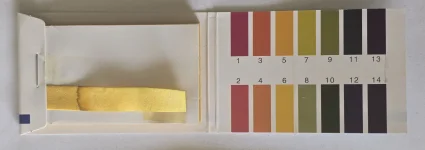 1000064101.jpg