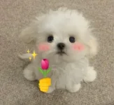 截图20251225113516.webp