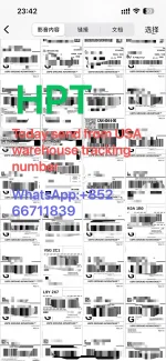 IMG_8099.webp