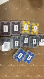 IMG_1290.jpeg IMG_1290.jpeg