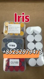 IMG_0695.webp