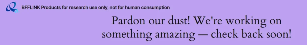 1770418212673.webp