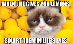 lemons.webp