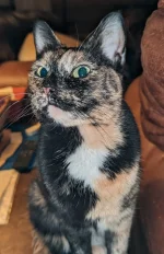 Fiona.webp