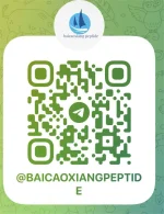 telegram.webp telegram.webp
