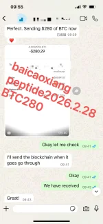 1772246555305.webp 1772246555305.webp