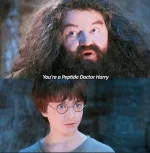 Harry DR.webp