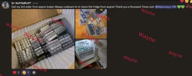 wayne.webp
