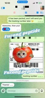 1774417239072.webp