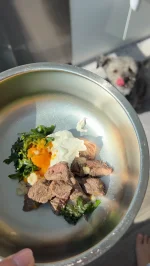 Dog Food.webp