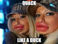 1729480269313.png