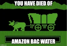 apjng2.webp apjng2.webp