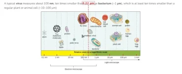 sizeRef.webp