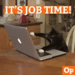 1777424985715.webp