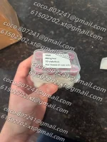 photo_2026-05-08_09-18-34.webp