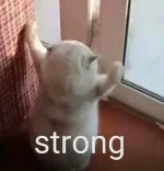 1778317206218.webp