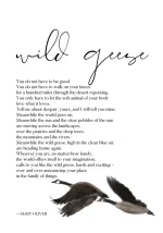 wild geese.webp