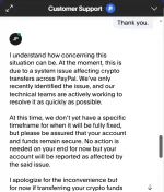 Paypal Chat.webp