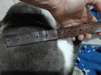 belt.webp