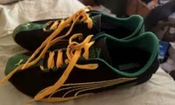 puma.webp