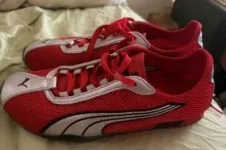puma1.webp