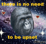 1780699753120.gif 1780699753120.gif