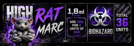 The HIGH Rat.webp