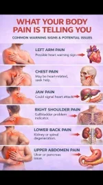 referential pain photo.webp