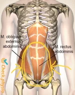 abdomen-oblique-abdomen-straight-abdomen.webp abdomen-oblique-abdomen-straight-abdomen.webp